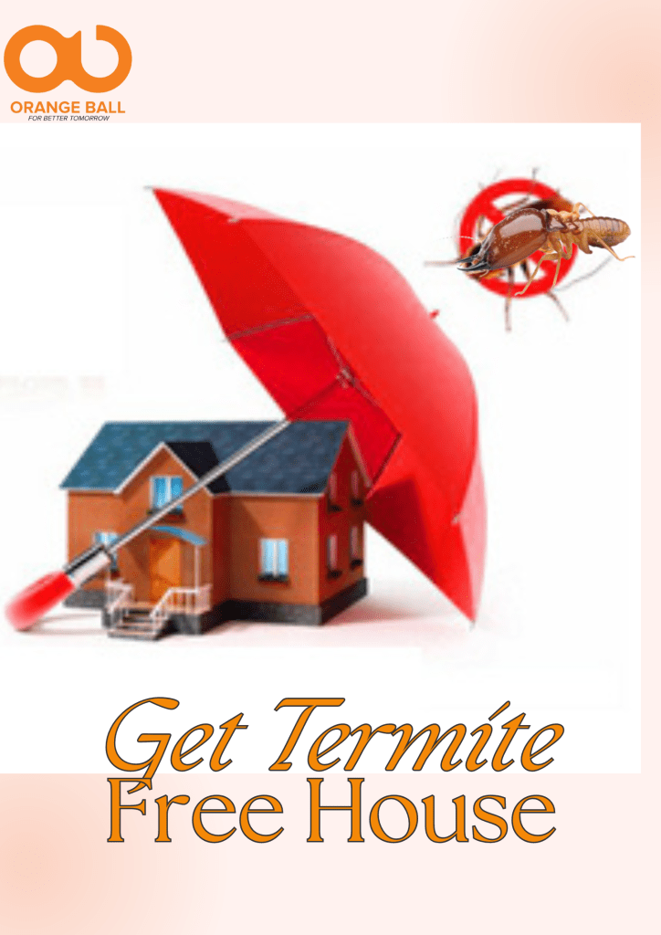 Termite control in kathmandu available at affordable rate