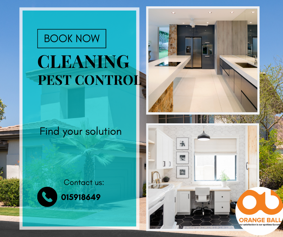pest control, cleaning, kathmandu, nepal, bed bug, termite