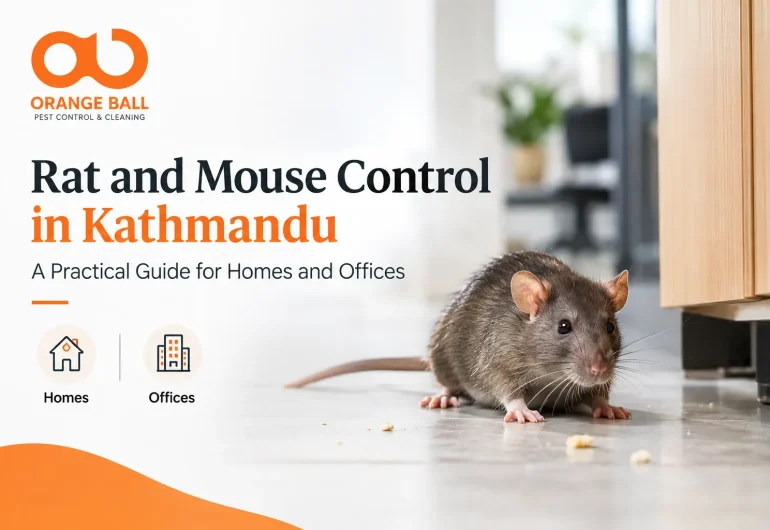 Rat and mouse control in Kathmandu for homes and offices by Orange Ball