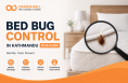 Bedbug control in Kathmandu 2026 guide by Orange Ball