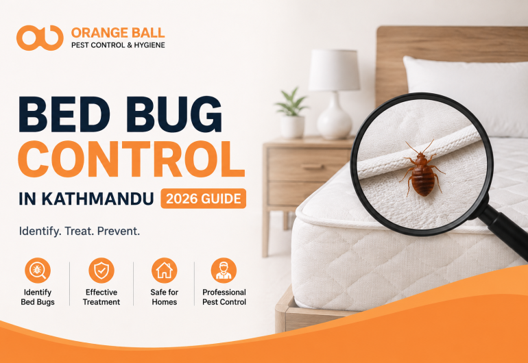 Bedbug control in Kathmandu 2026 guide by Orange Ball